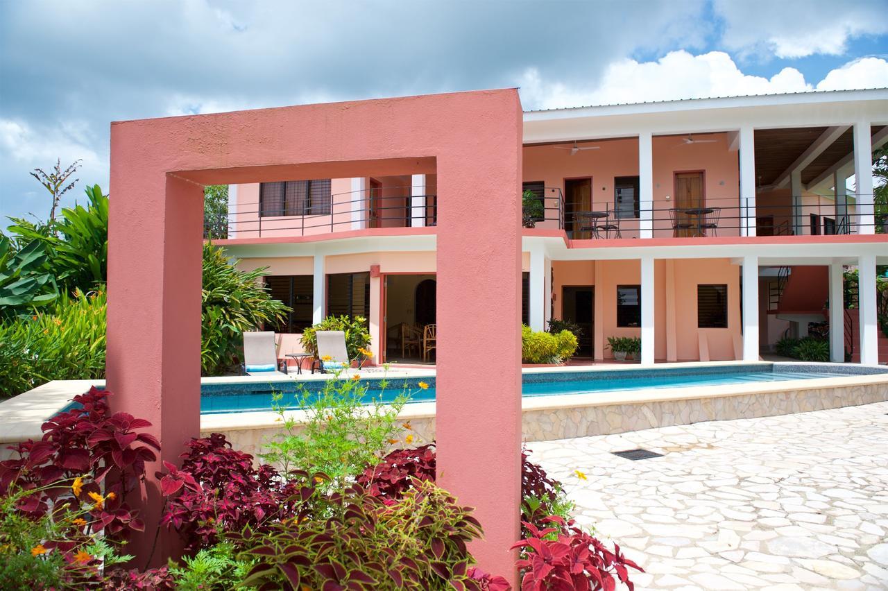 Coral House Bed & Breakfast Punta Gorda Luaran gambar
