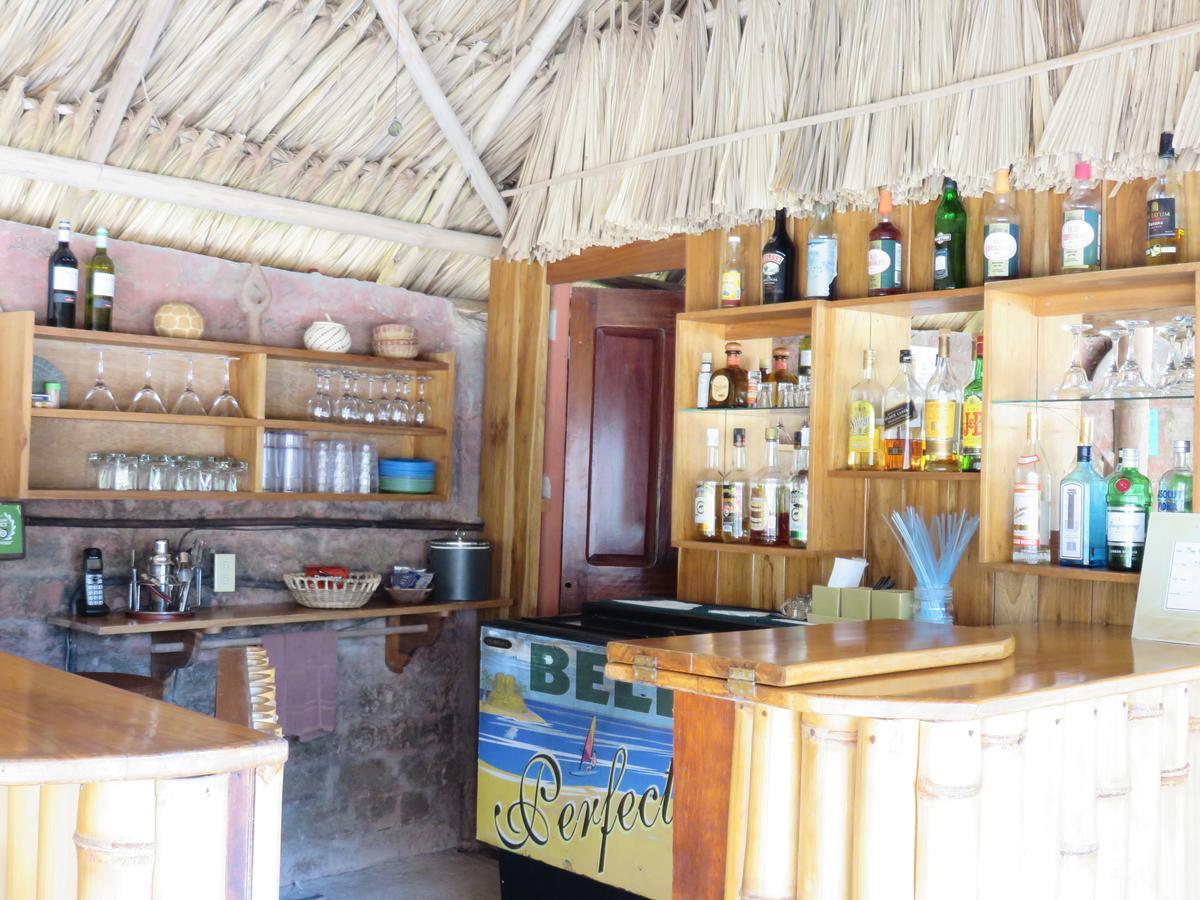 Coral House Bed & Breakfast Punta Gorda Luaran gambar