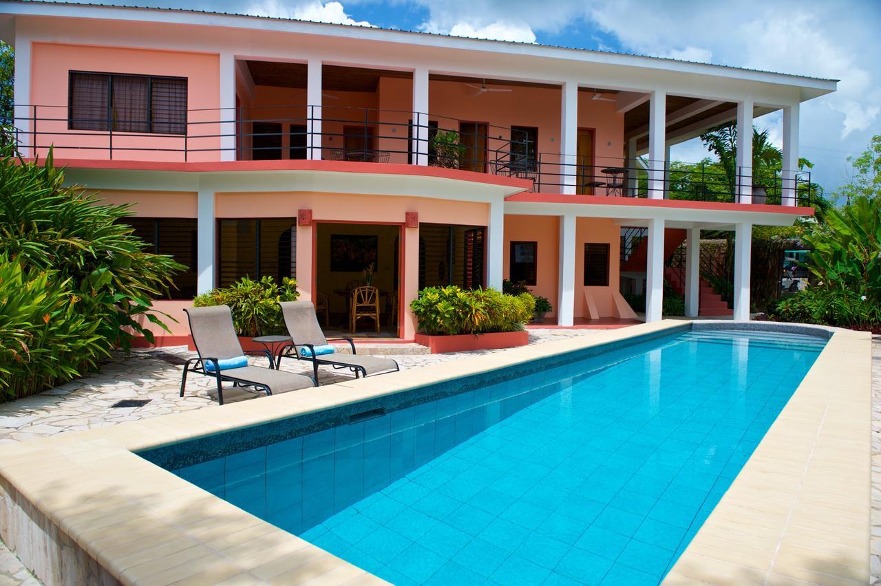 Coral House Bed & Breakfast Punta Gorda Luaran gambar