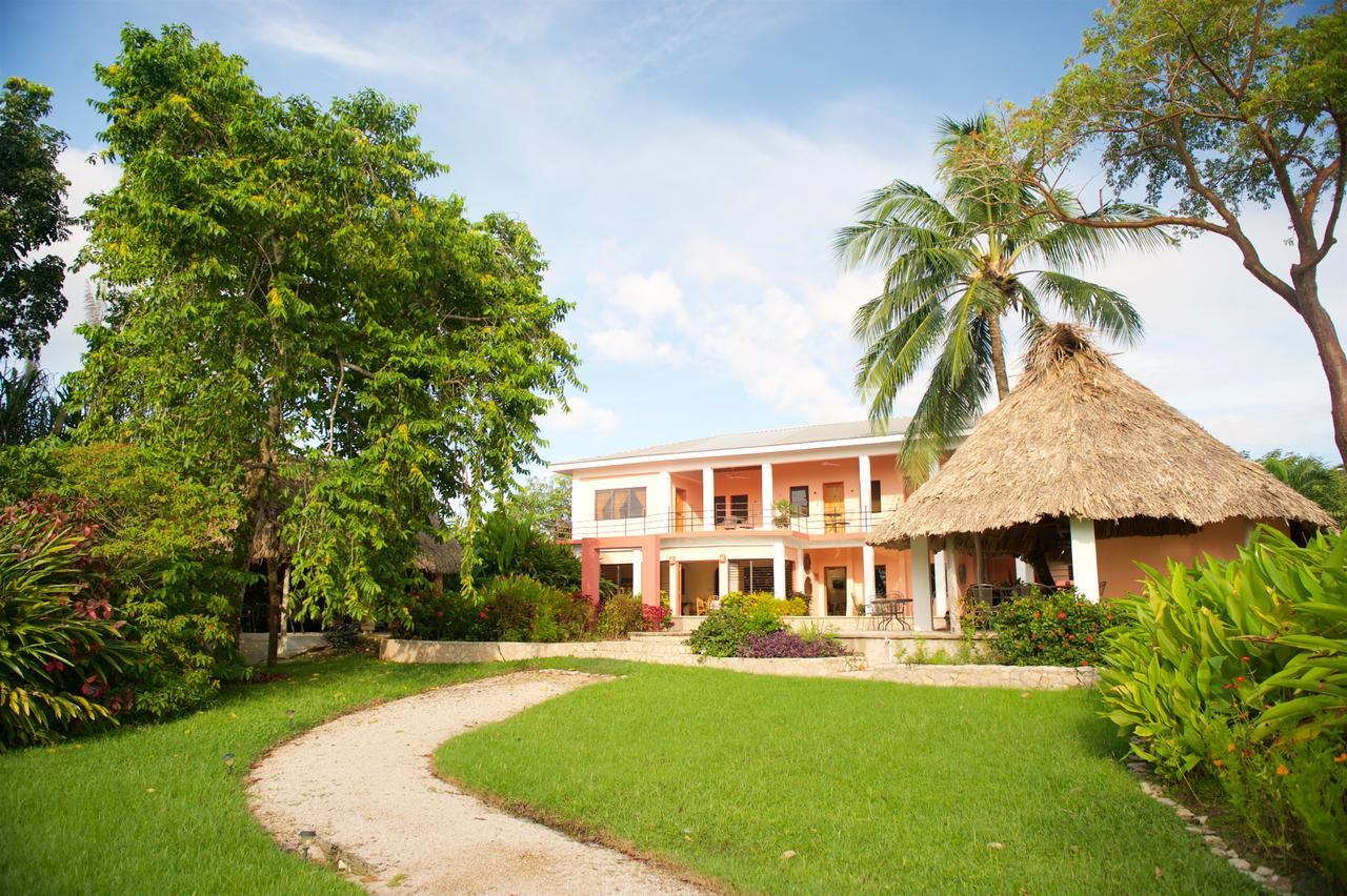 Coral House Bed & Breakfast Punta Gorda Luaran gambar