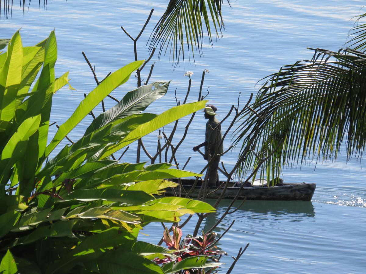 Coral House Bed & Breakfast Punta Gorda Luaran gambar