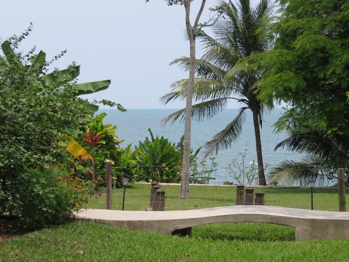 Coral House Bed & Breakfast Punta Gorda Luaran gambar