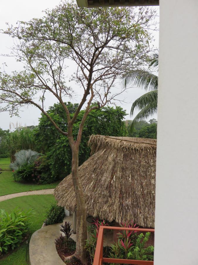 Coral House Bed & Breakfast Punta Gorda Luaran gambar